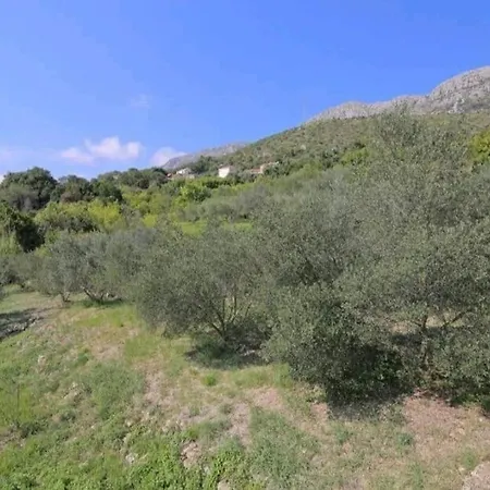 Ferienhaus Olive Tree House 2 Mokošica